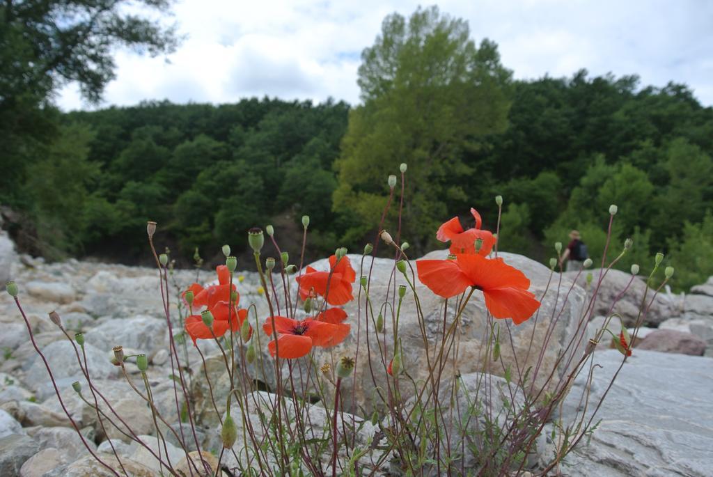 Locanda La Pieve Semproniano Zewnętrze zdjęcie